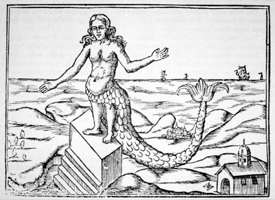 Il Drago della Divinità, copia di un