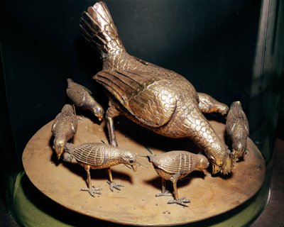 La gallina d