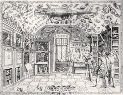 Il Museo di Storia Naturale dell