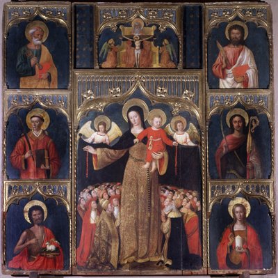 La Vergine con il Bambino: Pala d