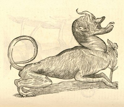 illustrazione di Canis monstroso capite dalla Storia dei Mostri di Aldrovandi, 1642 da Italian School