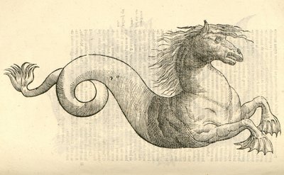 illustrazione di Equus marinus monstrosus dalla Storia dei Mostri di Aldrovandi, 1642 da Italian School