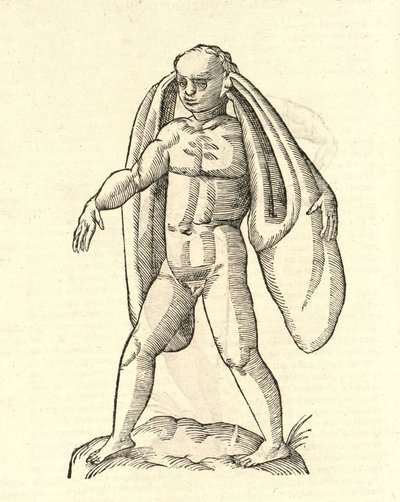 illustrazione di Homo Fanesius auritus dalla Storia dei Mostri di Aldrovandi, 1642 da Italian School