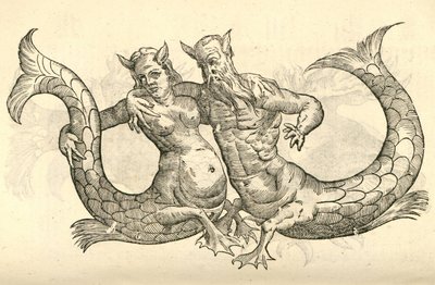 illustrazione di Monstra Niliaca Parei dalla Storia dei Mostri di Aldrovandi, 1642 da Italian School