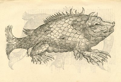 illustrazione di Monstrosus Sur marinus dalla Storia dei Mostri di Aldrovandi, 1642 da Italian School