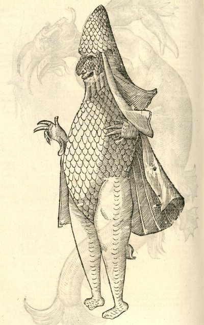 illustrazione di Monstrum Marinum rudimenta habitus Episcopi referens dalla Storia dei Mostri di Aldrovandi, 1642 da Italian School