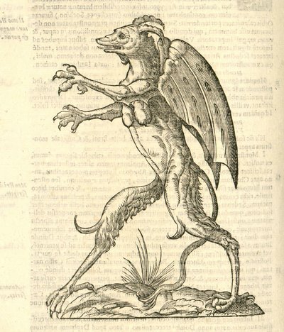 illustrazione di Monstrum alatum, & cornutum instar Cacodaemonis dalla Storia dei Mostri di Aldrovandi, 1642 da Italian School