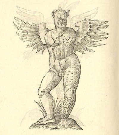 illustrazione di Monstrum cornutum, and alatum aliud dalla Storia dei Mostri di Aldrovandi, 1642 da Italian School