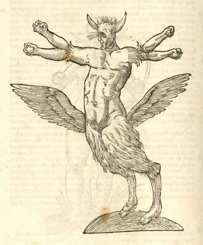 illustrazione di Monstrum tetrachiron alatum capite humano aurito dalla Storia dei Mostri di Aldrovandi, 1642 da Italian School