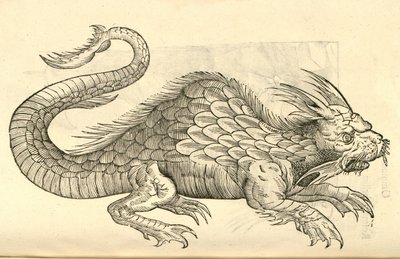 illustrazione di Orobonis Piscis effigies dalla Storia dei Mostri di Aldrovandi, 1642 da Italian School
