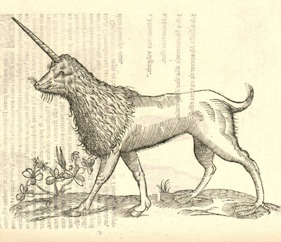 illustrazione di un Camphurch dalla Storia dei Mostri di Aldrovandi, 1642 da Italian School