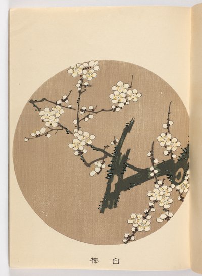 Jakuchū gafu, Era Meiji da Ito Jakuchu