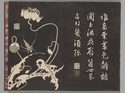 Soken sekisatsu da Ito Jakuchu