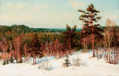 Inverno - Vista sulla foresta da Ivan Fedorovich Choultse