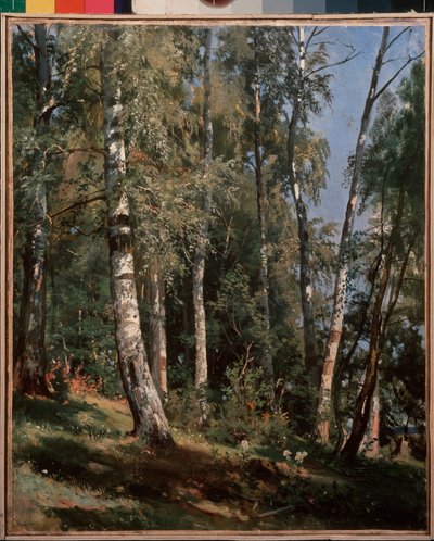 Boschetto di betulle da Ivan Ivanovich Shishkin