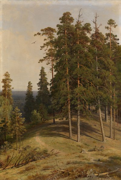 La Foresta di Pini, 1895 da Ivan Ivanovich Shishkin