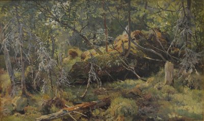 Rami. Uno studio da Ivan Ivanovich Shishkin