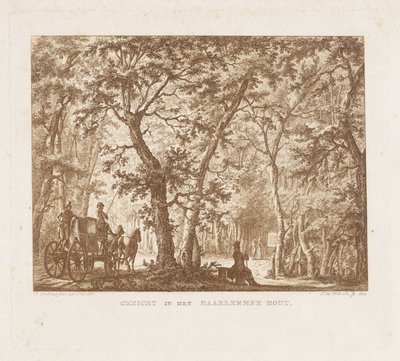Carrozza e passeggiatori nella Haarlemmerhout da Izaak Jansz. de Wit