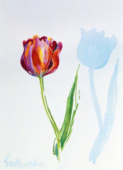 Tulipano da Izabella Godlewska de Aranda