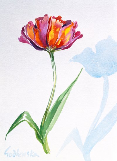 Tulipano da Izabella Godlewska de Aranda