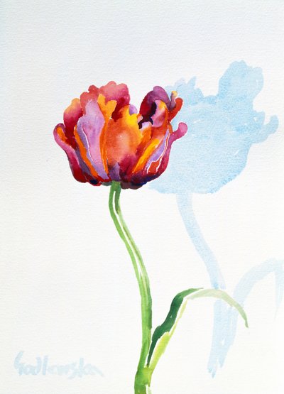 Tulipano da Izabella Godlewska de Aranda