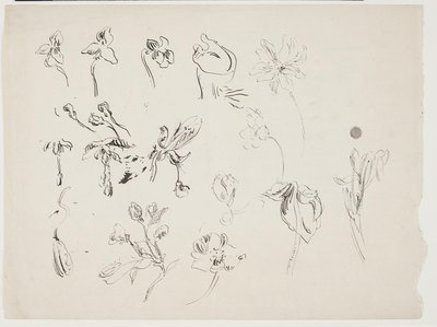 Schizzi di fiori da J.A. Jerichau