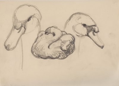 Cigno e teste di cigni da J.A. Jerichau