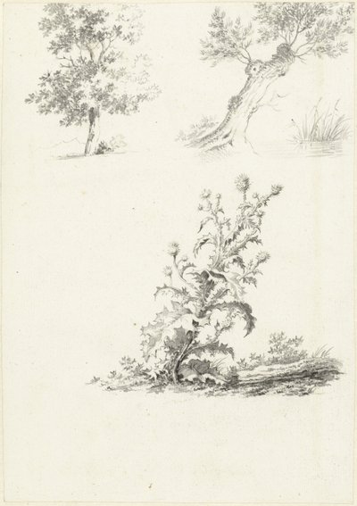 Due studi di un albero e un cardo da J.B. Joss (attributed to)