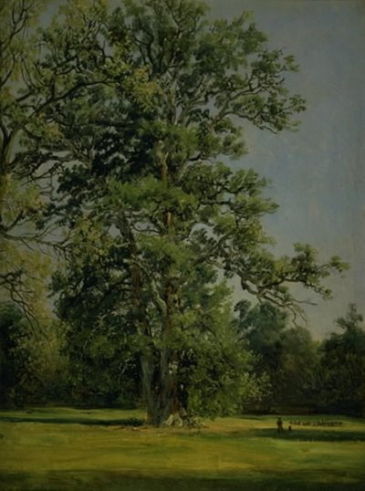 Una quercia. Vista del giardino a Wörlitz vicino a Dessau da Johan Christian Dahl