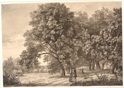 Vista di una strada in un bosco vicino a Sorø, Selandia da Johan Christian Dahl
