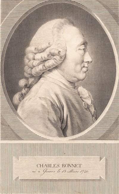 Charles Bonnet da J.F. Clemens