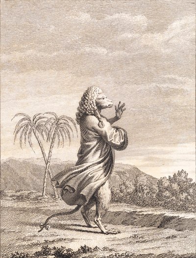 Una scimmia martiniana da J.F. Clemens