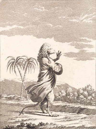 Una scimmia martinicana da J.F. Clemens