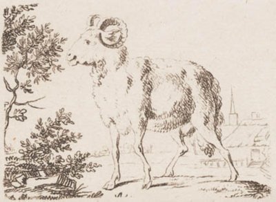 Un ariete da J.F. Clemens