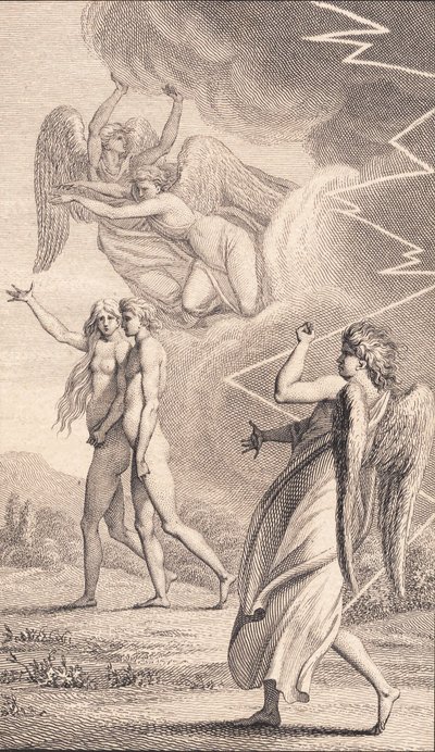 Illustrazione per 