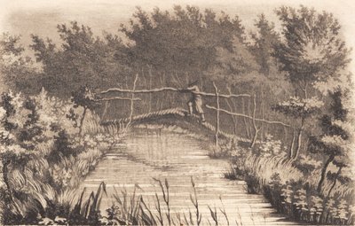 Parte del giardino di Sanderumgaard da J.F. Clemens