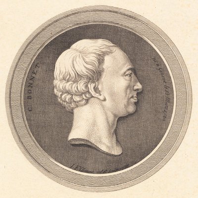 Medaglione in rilievo con ritratto di Bonnet da J.F. Clemens