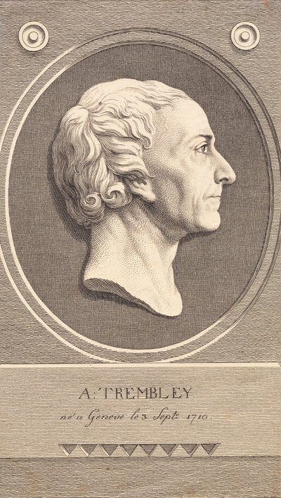 Medaglione in rilievo con ritratto dello zoologo Abraham Trembley da J.F. Clemens