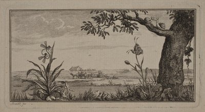 Veduta di un paesaggio piatto, in primo piano pianta con insetti e albero con lumache da J.F. Clemens
