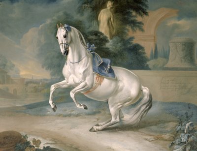 Il cavallo bianco 