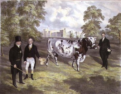 Sir Charles Morgan presenta al re Guglielmo IV un toro Shorthorn al castello di Tredegar, Monmouth, inciso da M. Gauci da J.H. (after) Carter