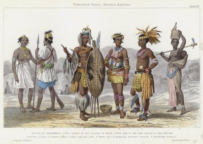 Razza etiope, negri, kaffir da J.L. (after) Williams