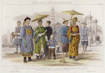 Razza mongola, cinese e cochin-chinese da J.L. (after) Williams