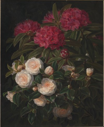 Camelie e rododendri da J.L. Jensen