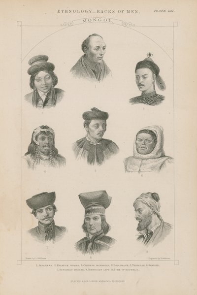 Nove volti di diverse razze mongole da J.L. Williams