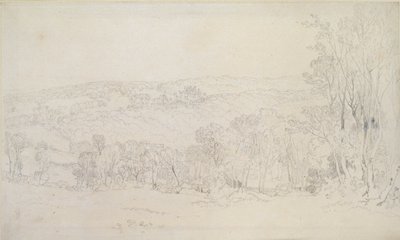 Veduta lontana del parco del castello di Lowther da Joseph Mallord William Turner