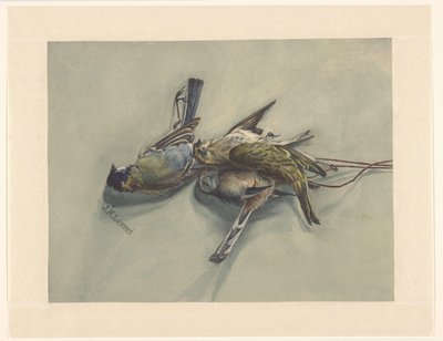 Natura morta con tre uccelli morti da J.N. Landré (signed by artist)