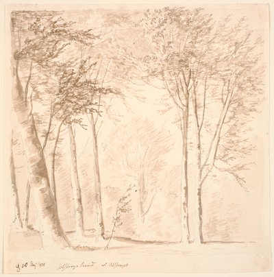 Paesaggio forestale da J.P. Møller