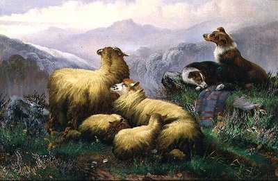 Cani da pastore e pecore nelle Highlands scozzesi da J.W. Morris