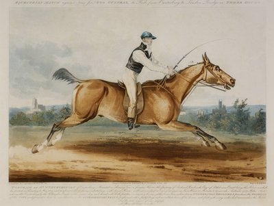 Ritratto di Mr William Hutchinson su 